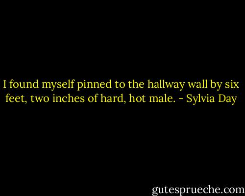 I found myself pinned to the hallway wall by six feet, two inches of hard, hot male. - Sylvia Day