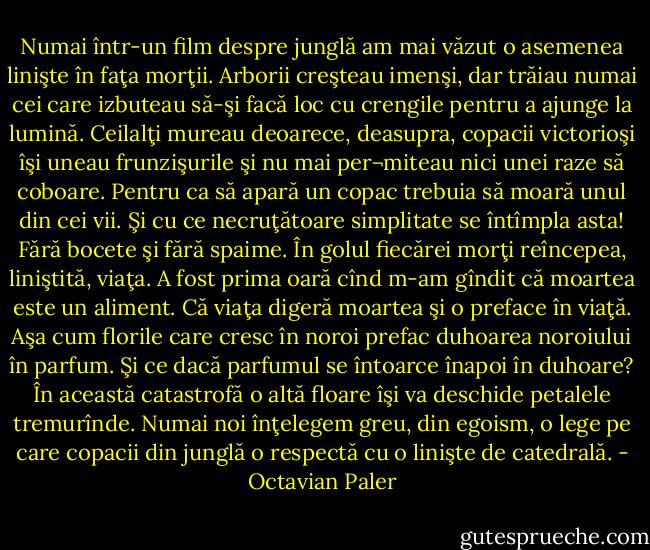 Numai într-un film despre junglă am mai văzut o asemenea linişte în faţa morţii. Arborii creşteau imenşi, dar trăiau numai cei care izbuteau să-şi facă loc cu crengile pentru a ajunge la lumină. Ceilalţi mureau deoarece, deasupra, copacii victorioşi îşi uneau frunzişurile şi nu mai per¬miteau nici unei raze să coboare. Pentru ca să apară un copac trebuia să moară unul din cei vii. Şi cu ce necruţătoare simplitate se întîmpla asta! Fără bocete şi fără spaime. În golul fiecărei morţi reîncepea, liniştită, viaţa. A fost prima oară cînd m-am gîndit că moartea este un aliment. Că viaţa digeră moartea şi o preface în viaţă. Aşa cum florile care cresc în noroi prefac duhoarea noroiului în parfum. Şi ce dacă parfumul se întoarce înapoi în duhoare? În această catastrofă o altă floare îşi va deschide petalele tremurînde. Numai noi înţelegem greu, din egoism, o lege pe care copacii din junglă o respectă cu o linişte de catedrală. - Octavian Paler