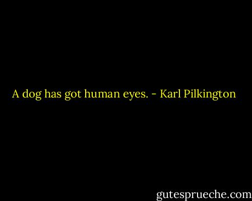 A dog has got human eyes. - Karl Pilkington