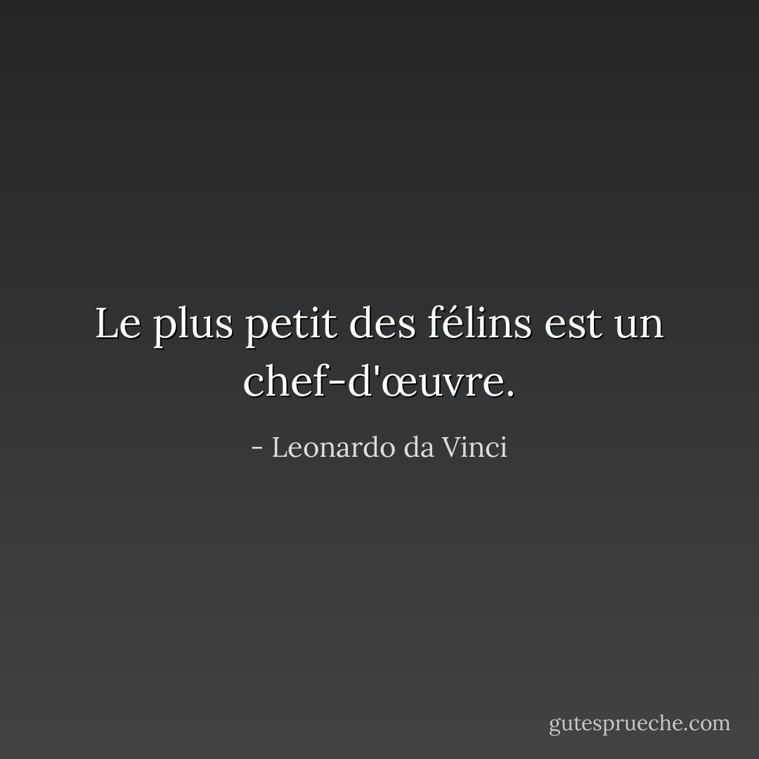 Le plus petit des félins est un chef-d'œuvre. - Leonardo da Vinci