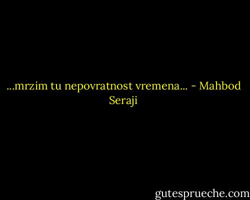 ...mrzim tu nepovratnost vremena... - Mahbod Seraji