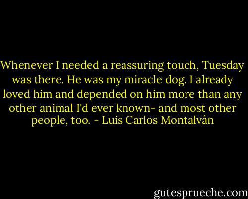Whenever I needed a reassuring touch, Tuesday was there. He was my miracle dog. I already loved him and depended on him more than any other animal I'd ever known- and most other people, too. - Luis Carlos Montalván