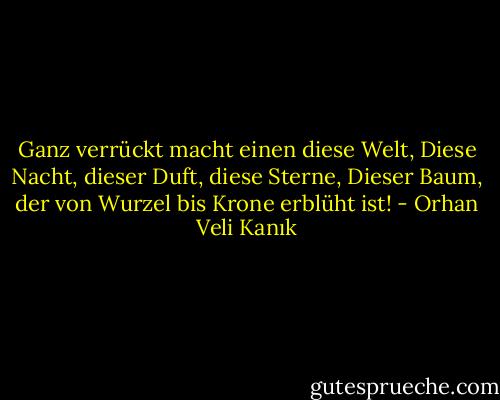 Ganz verrückt macht einen diese Welt,<br />Diese Nacht, dieser Duft, diese Sterne,<br />Dieser Baum, der von Wurzel bis Krone erblüht ist! - Orhan Veli Kanık