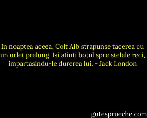 In noaptea aceea, Colt Alb strapunse tacerea cu un urlet prelung. Isi atinti botul spre stelele reci, impartasindu-le durerea lui. - Jack London