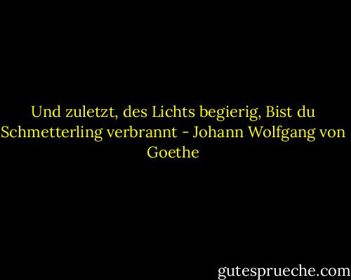 Und zuletzt, des Lichts begierig,<br />Bist du Schmetterling verbrannt - Johann Wolfgang von Goethe