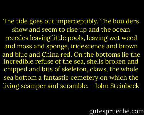 The tide goes out imperceptibly. The boulders show and seem to rise up and the ocean recedes leaving little pools, leaving wet weed and moss and sponge, iridescence and brown and blue and China red. On the bottoms lie the incredible refuse of the sea, shells broken and chipped and bits of skeleton, claws, the whole sea bottom a fantastic cemetery on which the living scamper and scramble. - John Steinbeck