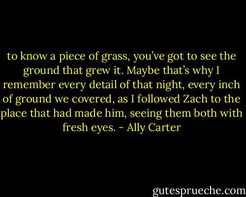 to know a piece of grass, you’ve got to see the ground that grew it. Maybe that’s why I remember every detail of that night, every inch of ground we covered, as I followed Zach to the place that had made him, seeing them both with fresh eyes. - Ally Carter