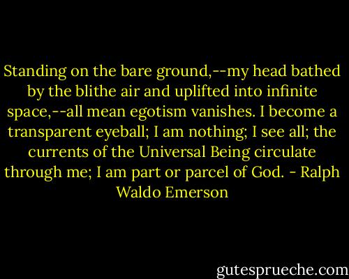 Standing on the bare ground,--my head bathed by the blithe air and uplifted into infinite space,--all mean egotism vanishes. I become a transparent eyeball; I am nothing; I see all; the currents of the Universal Being circulate through me; I am part or parcel of God. - Ralph Waldo Emerson