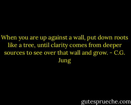 When you are up against a wall, put down roots like a tree, until clarity comes from deeper sources to see over that wall and grow. - C.G. Jung