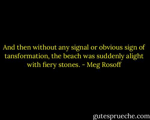 And then without any signal or obvious sign of tansformation, the beach was suddenly alight with fiery stones. - Meg Rosoff