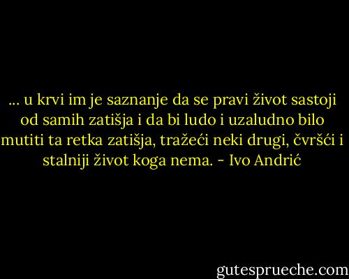 ... u krvi im je saznanje da se pravi život sastoji od samih zatišja i da bi ludo i uzaludno bilo mutiti ta retka zatišja, tražeći neki drugi, čvršći i stalniji život koga nema. - Ivo Andrić