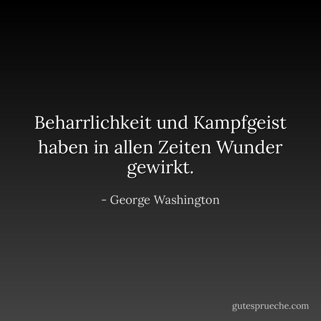 Beharrlichkeit und Kampfgeist haben in allen Zeiten Wunder gewirkt. - George Washington<