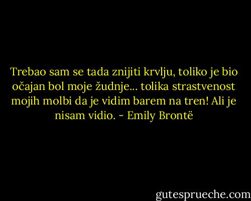 Trebao sam se tada znijiti krvlju, toliko je bio očajan bol moje žudnje... tolika strastvenost mojih molbi da je vidim barem na tren! Ali je nisam vidio. - Emily Brontë