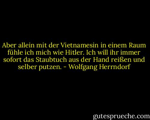 Aber allein mit der Vietnamesin in einem Raum fühle ich mich wie Hitler. Ich will ihr immer sofort das Staubtuch aus der Hand reißen und selber putzen. - Wolfgang Herrndorf