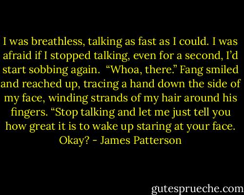 I was breathless, talking as fast as I could. I was afraid if I stopped talking, even for a second, I’d start sobbing again.<br /><br />“Whoa, there.” Fang smiled and reached up, tracing a hand down the side of my face, winding strands of my hair around his fingers. “Stop talking and let me just tell you how great it is to wake up staring at your face. Okay? - James Patterson