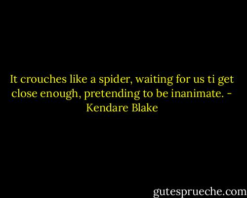 It crouches like a spider, waiting for us ti get close enough, pretending to be inanimate. - Kendare Blake