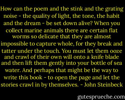 How can the poem and the stink and the grating noise - the quality of light, the tone, the habit and the dream - be set down alive? When you collect marine animals there are certain flat worms so delicate that they are almost impossible to capture whole, for they break and tatter under the touch. You must let them ooze and crawl of their own will onto a knife blade and then lift them gently into your bottle of sea water. And perhaps that might be the way to write this book - to open the page and let the stories crawl in by themselves. - John Steinbeck