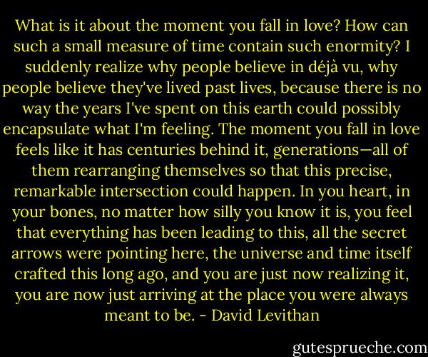 What is it about the moment you fall in love? How can such a small measure of time contain such enormity? I suddenly realize why people believe in déjà vu, why people believe they've lived past lives, because there is no way the years I've spent on this earth could possibly encapsulate what I'm feeling. The moment you fall in love feels like it has centuries behind it, generations—all of them rearranging themselves so that this precise, remarkable intersection could happen. In you heart, in your bones, no matter how silly you know it is, you feel that everything has been leading to this, all the secret arrows were pointing here, the universe and time itself crafted this long ago, and you are just now realizing it, you are now just arriving at the place you were always meant to be. - David Levithan