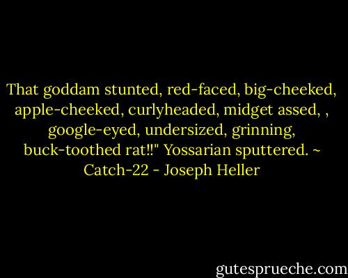 That goddam stunted, red-faced, big-cheeked, apple-cheeked, curlyheaded, midget assed, , google-eyed, undersized, grinning, buck-toothed rat!!" Yossarian sputtered.<br />~ Catch-22 - Joseph Heller
