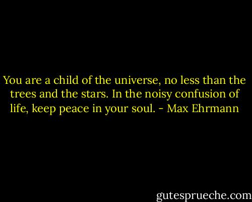 You are a child of the universe, no less than the trees and the stars. In the noisy confusion of life, keep peace in your soul. - Max Ehrmann