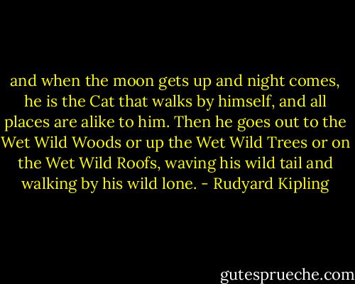 and when the moon gets up and night comes, he is the Cat that walks by himself, and all places are alike to him. Then he goes out to the Wet Wild Woods or up the Wet Wild Trees or on the Wet Wild Roofs, waving his wild tail and walking by his wild lone. - Rudyard Kipling