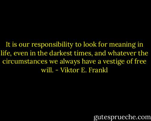 It is our responsibility to look for meaning in life, even in the darkest times, and whatever the circumstances we always have a vestige of free will. - Viktor E. Frankl