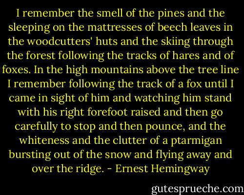 I remember the smell of the pines and the sleeping on the mattresses of beech leaves in the woodcutters' huts and the skiing through the forest following the tracks of hares and of foxes. In the high mountains above the tree line I remember following the track of a fox until I came in sight of him and watching him stand with his right forefoot raised and then go carefully to stop and then pounce, and the whiteness and the clutter of a ptarmigan bursting out of the snow and flying away and over the ridge. - Ernest Hemingway