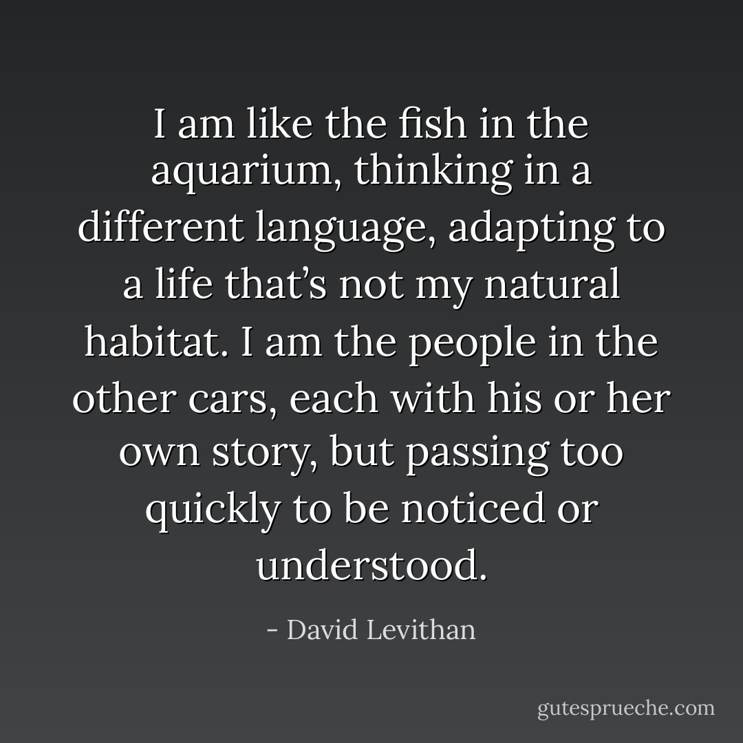 I am like the fish in the aquarium, thinking in a different language, adapting to a life that’s not my natural habitat. I am the people in the other cars, each with his or her own story, but passing too quickly to be noticed or understood. - David Levithan