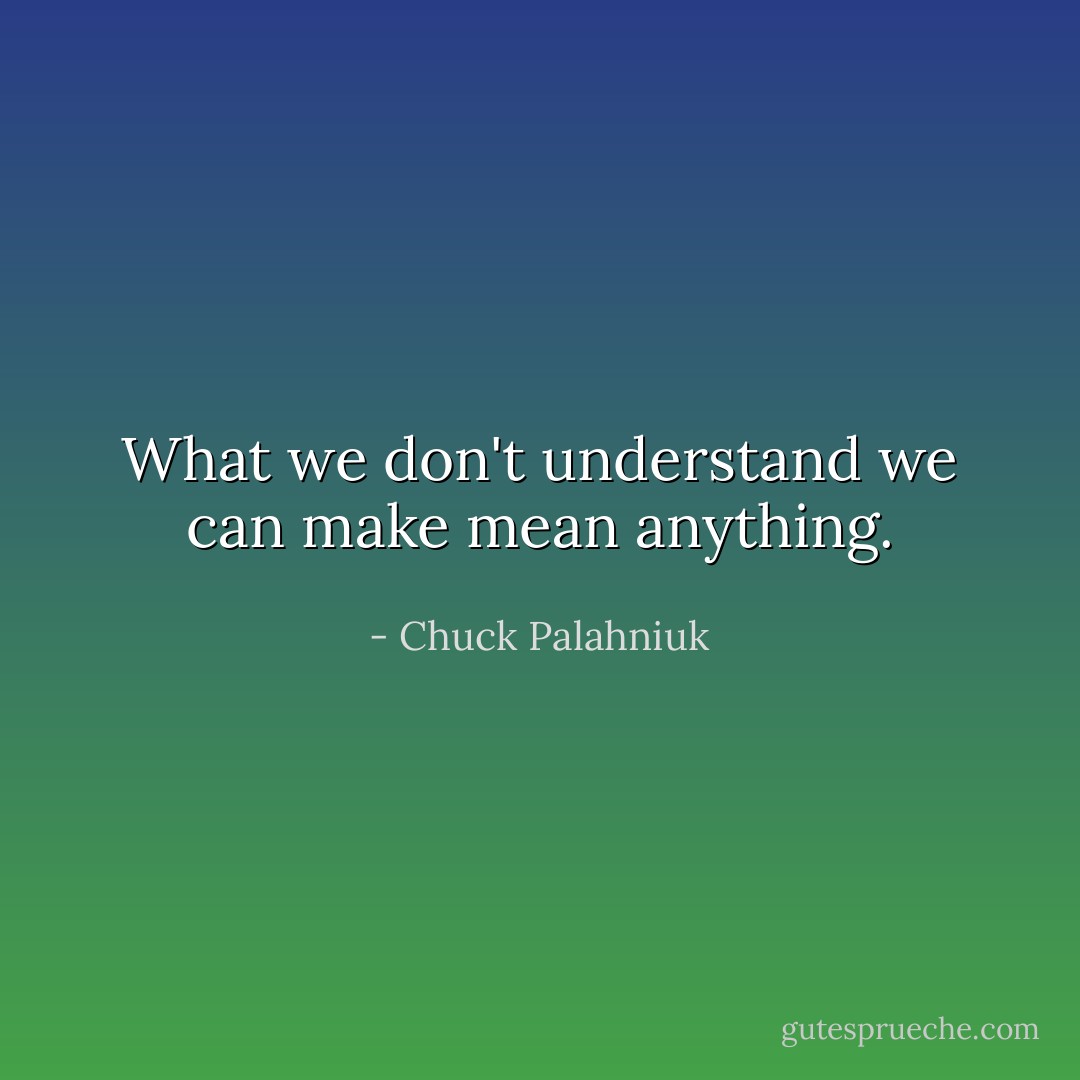 What we don't understand we can make mean anything. - Chuck Palahniuk