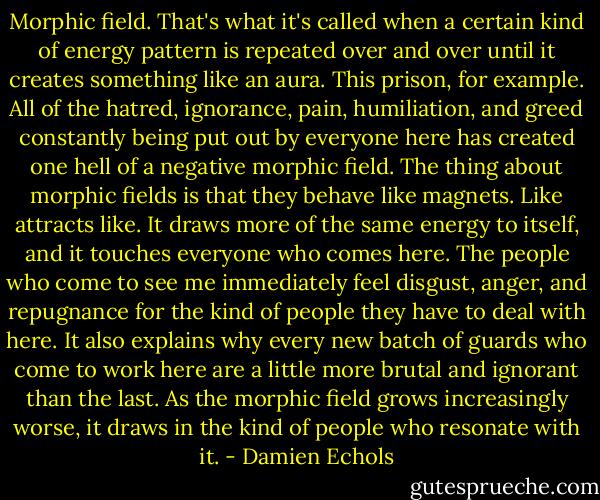 Morphic field. That's what it's called when a certain kind of energy pattern is repeated over and over until it creates something like an aura. This prison, for example. All of the hatred, ignorance, pain, humiliation, and greed constantly being put out by everyone here has created one hell of a negative morphic field. The thing about morphic fields is that they behave like magnets. Like attracts like. It draws more of the same energy to itself, and it touches everyone who comes here. The people who come to see me immediately feel disgust, anger, and repugnance for the kind of people they have to deal with here. It also explains why every new batch of guards who come to work here are a little more brutal and ignorant than the last. As the morphic field grows increasingly worse, it draws in the kind of people who resonate with it. - Damien Echols