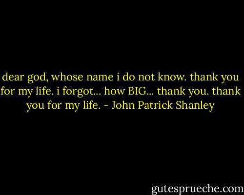 dear god, whose name i do not know. thank you for my life. i forgot... how BIG... thank you. thank you for my life. - John Patrick Shanley
