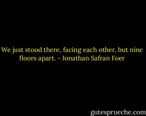 We just stood there, facing each other, but nine floors apart. - Jonathan Safran Foer