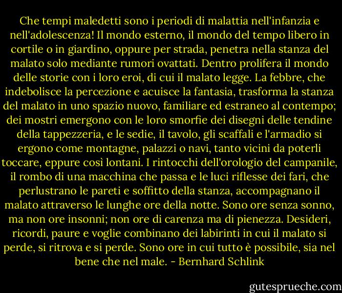 Che tempi maledetti sono i periodi di malattia nell'infanzia e nell'adolescenza! Il mondo esterno, il mondo del tempo libero in cortile o in giardino, oppure per strada, penetra nella stanza del malato solo mediante rumori ovattati. Dentro prolifera il mondo delle storie con i loro eroi, di cui il malato legge. La febbre, che indebolisce la percezione e acuisce la fantasia, trasforma la stanza del malato in uno spazio nuovo, familiare ed estraneo al contempo; dei mostri emergono con le loro smorfie dei disegni delle tendine della tappezzeria, e le sedie, il tavolo, gli scaffali e l'armadio si ergono come montagne, palazzi o navi, tanto vicini da poterli toccare, eppure così lontani. I rintocchi dell'orologio del campanile, il rombo di una macchina che passa e le luci riflesse dei fari, che perlustrano le pareti e soffitto della stanza, accompagnano il malato attraverso le lunghe ore della notte. Sono ore senza sonno, ma non ore insonni; non ore di carenza ma di pienezza. Desideri, ricordi, paure e voglie combinano dei labirinti in cui il malato si perde, si ritrova e si perde. Sono ore in cui tutto è possibile, sia nel bene che nel male. - Bernhard Schlink