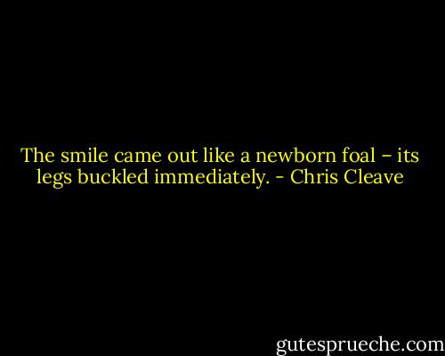 The smile came out like a newborn foal – its legs buckled immediately. - Chris Cleave