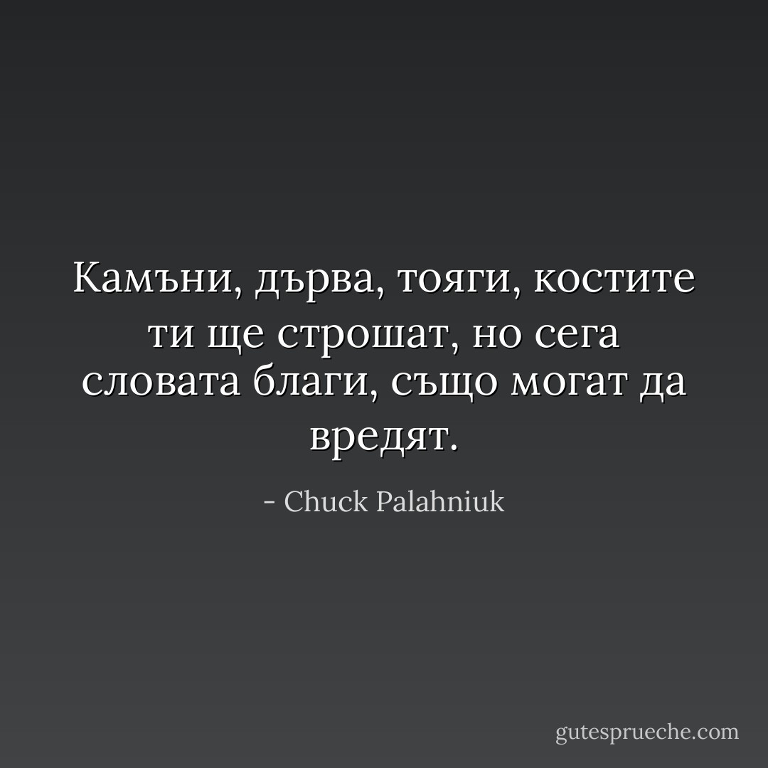 Камъни, дърва, тояги, костите ти ще строшат, но сега словата благи, също могат да вредят. - Chuck Palahniuk