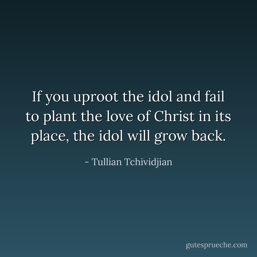 If you uproot the idol and fail to plant the love of Christ in its place, the idol will grow back. - Tullian Tchividjian