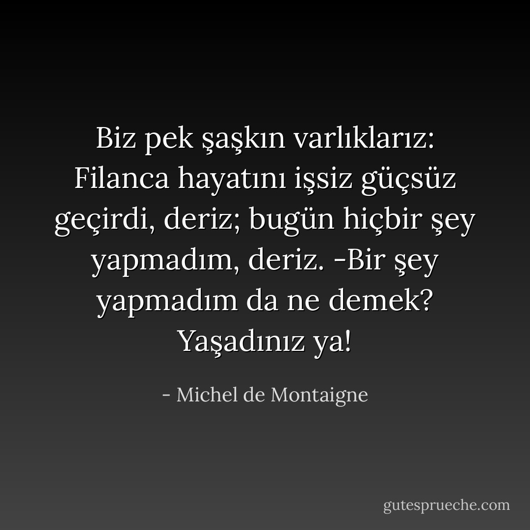 Biz pek şaşkın varlıklarız: Filanca hayatını işsiz güçsüz geçirdi, deriz; bugün hiçbir şey yapmadım, deriz. -Bir şey yapmadım da ne demek? Yaşadınız ya! - Michel de Montaigne