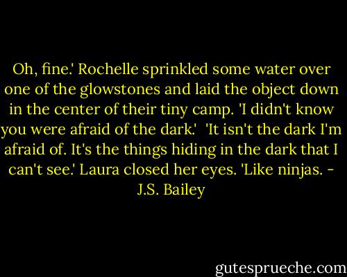 Oh, fine.' Rochelle sprinkled some water over one of the glowstones and laid the object down in the center of their tiny camp. 'I didn't know you were afraid of the dark.'<br /><br />'It isn't the dark I'm afraid of. It's the things hiding in the dark that I can't see.' Laura closed her eyes. 'Like ninjas. - J.S. Bailey