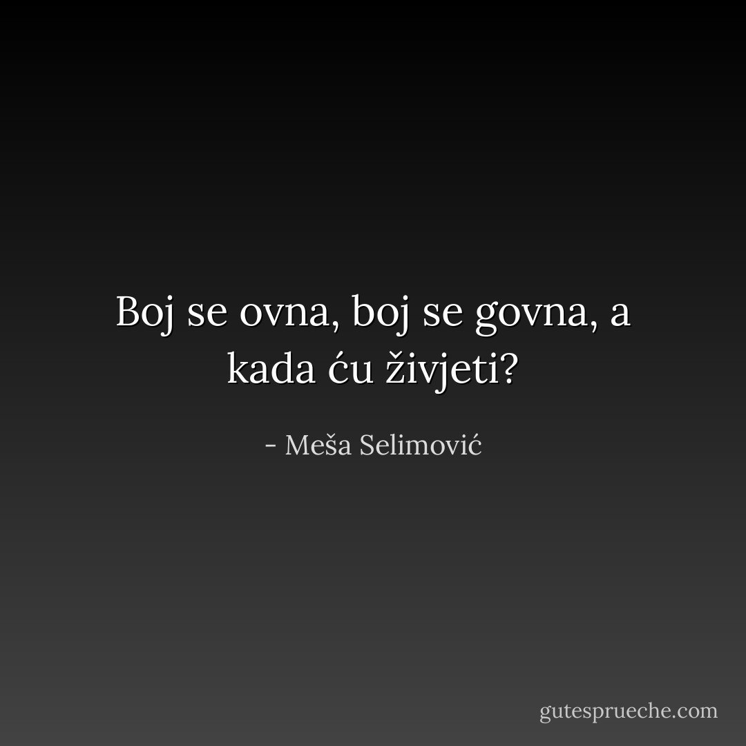 Boj se ovna, boj se govna, a kada ću živjeti? - Meša Selimović