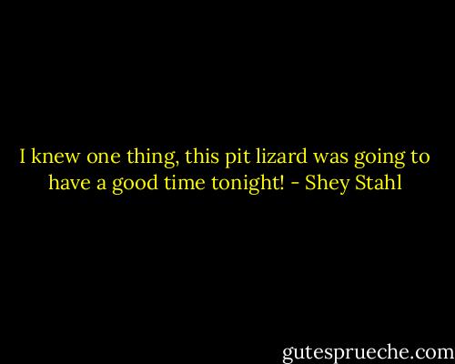 I knew one thing, this pit lizard was going to have a good time tonight! - Shey Stahl