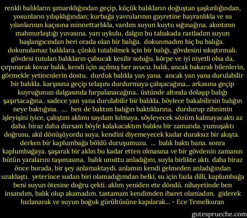 renkli balıkların şımarıklığından geçip, küçük balıkların<br />doğuştan şaşkınlığından, yosunların yılışıklığından;<br />kurbağa yavrularının gayretine hayranlıkla ve su yılanlarının<br />kaçısına minnettarlıkla, vardım suyun kuytu sığınağına.<br />akıntının mahmurlaştığı yuvasına. yarı uykulu,<br />dalgın bu tabakada<br />rastladım suyun başlangıcından beri orada olan<br />bir balığa.<br /><br />dokunmadım hiç bu balığa.<br /><br />dokunulamaz balıklara. çünkü tutabilmek için bir balığı, gövdesini sıkıştırmalı.<br />gövdesi tutulan balıkların<br />çabucak kesilir soluğu.<br />körpe ve iyi niyetli olsa da, çırpınarak kovar balık,<br />kendi için açılmış her avucu.<br />balık, ancak bakarak bilenlerin,<br />görmekle yetinenlerin dostu.<br /><br />durduk balıkla yan yana.<br /><br />ancak yan yana durulabilir bir balıkla.<br />karşısına geçip telaşını durdurmaya çalışacağına...<br />arkasına geçip kuyruğunun dalgasında hırpalanacağına..<br />üstünde altında dolaşıp balığı şaşırtacağına..<br />sadece yan yana durulabilir bir balıkla.<br />böylece bakabilirsin balığın neye baktığına.<br /><br />....<br /><br />ben de baktım balığın baktıklarına.<br /><br />durdurup zihnimin işleyişini iyice, çalıştım aklımı<br />saydam kılmaya. söyleyecek sözüm kalmayacaktı<br />az daha. biraz daha dursam böyle<br />kalakacaktım balıksı bir zamanda.<br />yumuşaktı doğrusu, akıl dönüşüyordu suya.<br />kendini diyemeyecek kadar duraksız bir akışta.<br /><br />derken bir kaplumbağa böldü duruşumuzu.<br /><br />...<br /><br />balık baktı bana. sonra kaplumbağaya. şaşarak bir aklın<br />bu kadar etten olmasına ve bir gövdenin<br />zamanın bütün yaralarını taşımasına.<br /><br />balık unuttu anladığını, suyla birlikte aktı.<br />daha biraz önce burada, bir şey anlamaktaydı.<br />anlamın kendi gelmeden anladığından uzaklaştı.<br /><br />yeterince sudan biri olamadığımdan belki,<br />su için fazla dilli,<br />kaplumbağa beni suyun ötesine doğru çekti.<br />aklım yeniden ete döndü. nihayetinde ben insandım,<br />balık olup akamadım.<br />tastamam kendimden ibaret olamadım.<br /><br />giderek hızlanarak ve suyun boğuk gürültüsüne kapılarak... - Ece Temelkuran