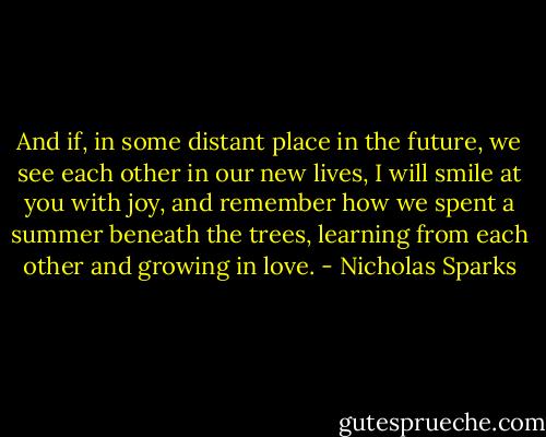 And if, in some distant place in the future, we see each other in our new lives, I will smile at you with joy, and remember how we spent a summer beneath the trees, learning from each other and growing in love. - Nicholas Sparks
