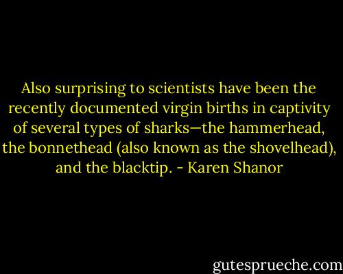 Also surprising to scientists have been the recently documented virgin births in captivity of several types of sharks—the hammerhead, the bonnethead (also known as the shovelhead), and the blacktip. - Karen Shanor