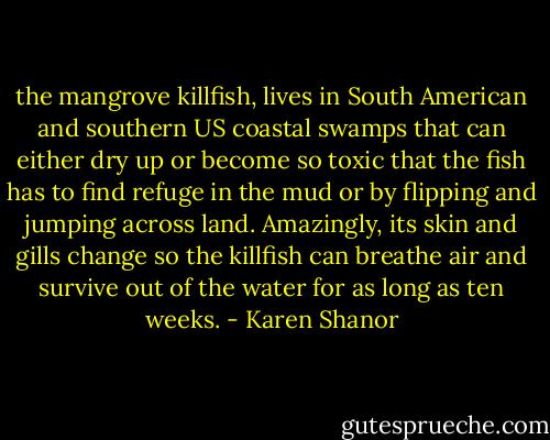 the mangrove killfish, lives in South American and southern US coastal swamps that can either dry up or become so toxic that the fish has to find refuge in the mud or by flipping and jumping across land. Amazingly, its skin and gills change so the killfish can breathe air and survive out of the water for as long as ten weeks. - Karen Shanor