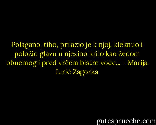 Polagano, tiho, prilazio je k njoj, kleknuo i položio glavu u njezino krilo kao žeđom obnemogli pred vrčem bistre vode... - Marija Jurić Zagorka