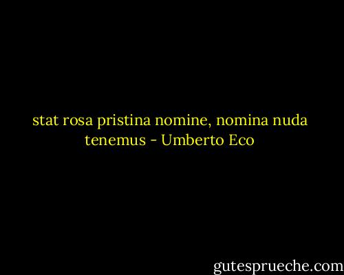 stat rosa pristina nomine, nomina nuda tenemus - Umberto Eco