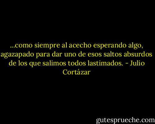 ...como siempre al acecho esperando algo, agazapado para dar uno de esos saltos absurdos de los que salimos todos lastimados. - Julio Cortázar