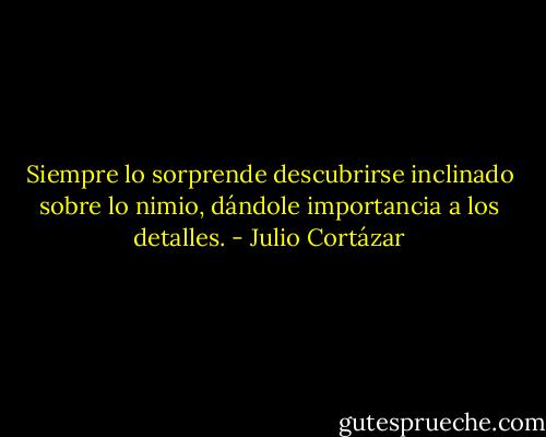 Siempre lo sorprende descubrirse inclinado sobre lo nimio, dándole importancia a los detalles. - Julio Cortázar
