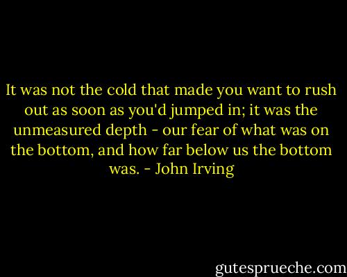 It was not the cold that made you want to rush out as soon as you'd jumped in; it was the unmeasured depth - our fear of what was on the bottom, and how far below us the bottom was. - John Irving
