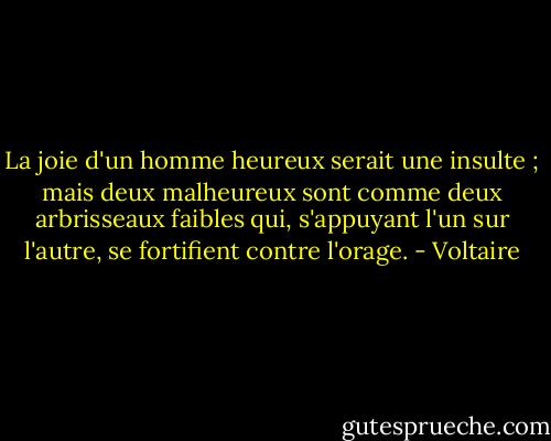 La joie d'un homme heureux serait une insulte ; mais deux malheureux sont comme deux arbrisseaux faibles qui, s'appuyant l'un sur l'autre, se fortifient contre l'orage. - Voltaire